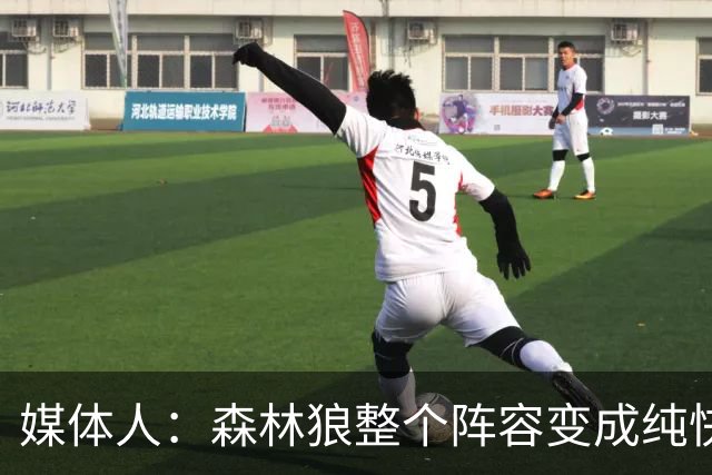 媒体人：森林狼整个阵容变成纯快节奏抢投了 球队也梭哈了