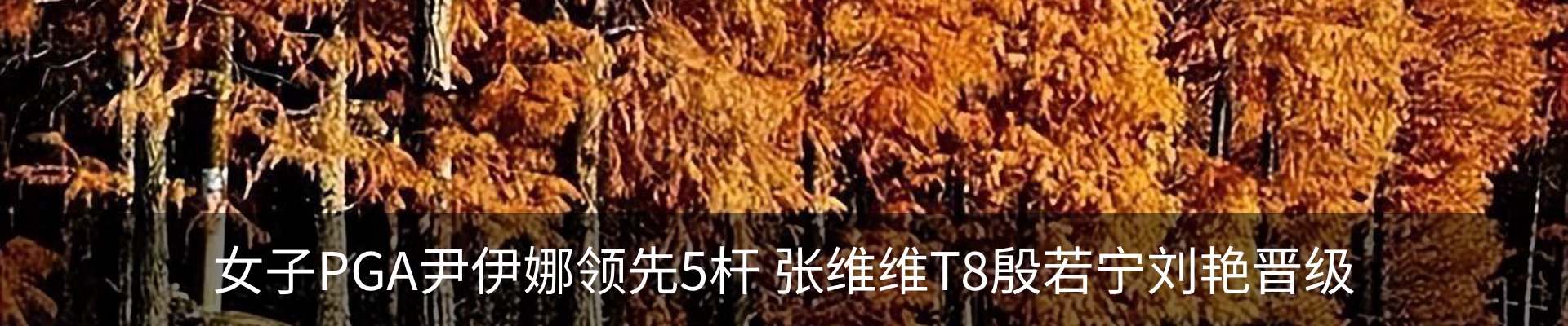 资讯动态